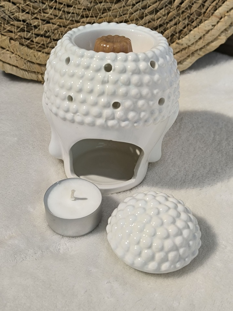 bruleur dhyana de dos.jpg