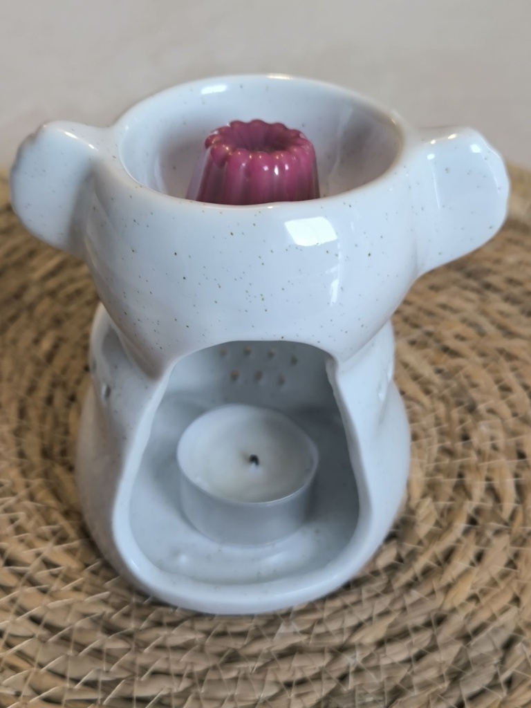 bruleur koko de dos.jpg